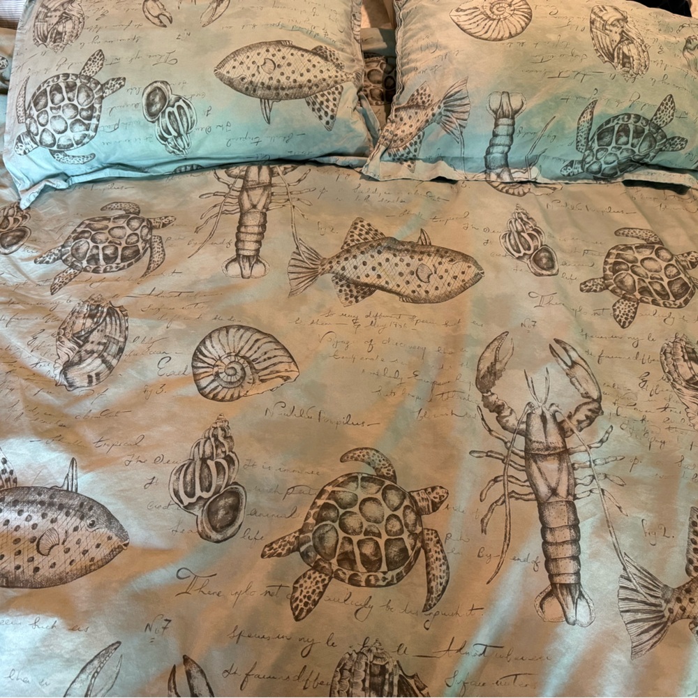 Pottery Barn King Duvet cover.  Coastal design.  2 shams
